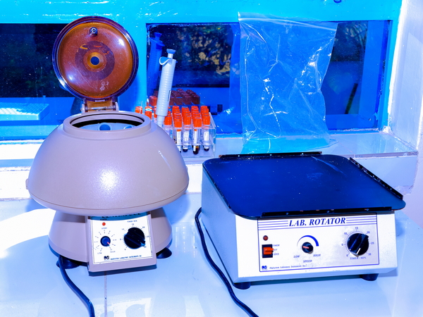 Laboratory Services